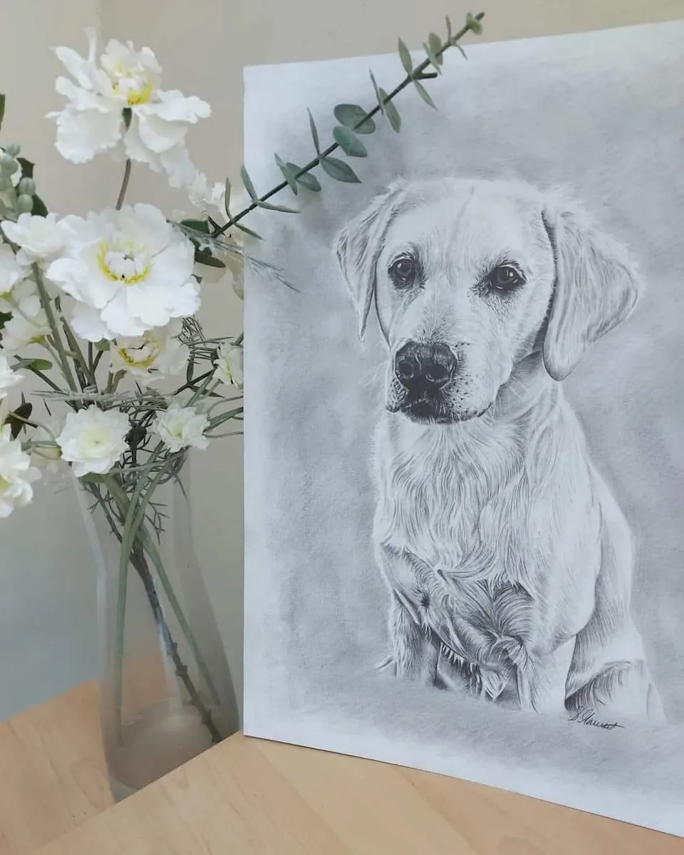 Pencil pet portrait commission of a dog
