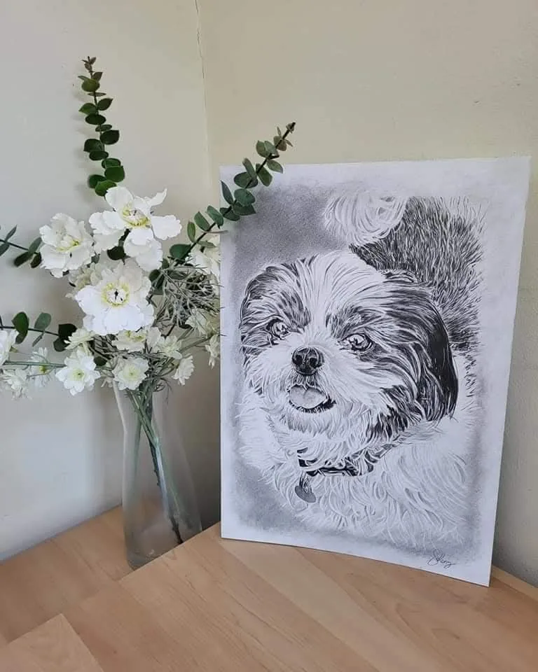 Pencil pet portrait commission of a dog