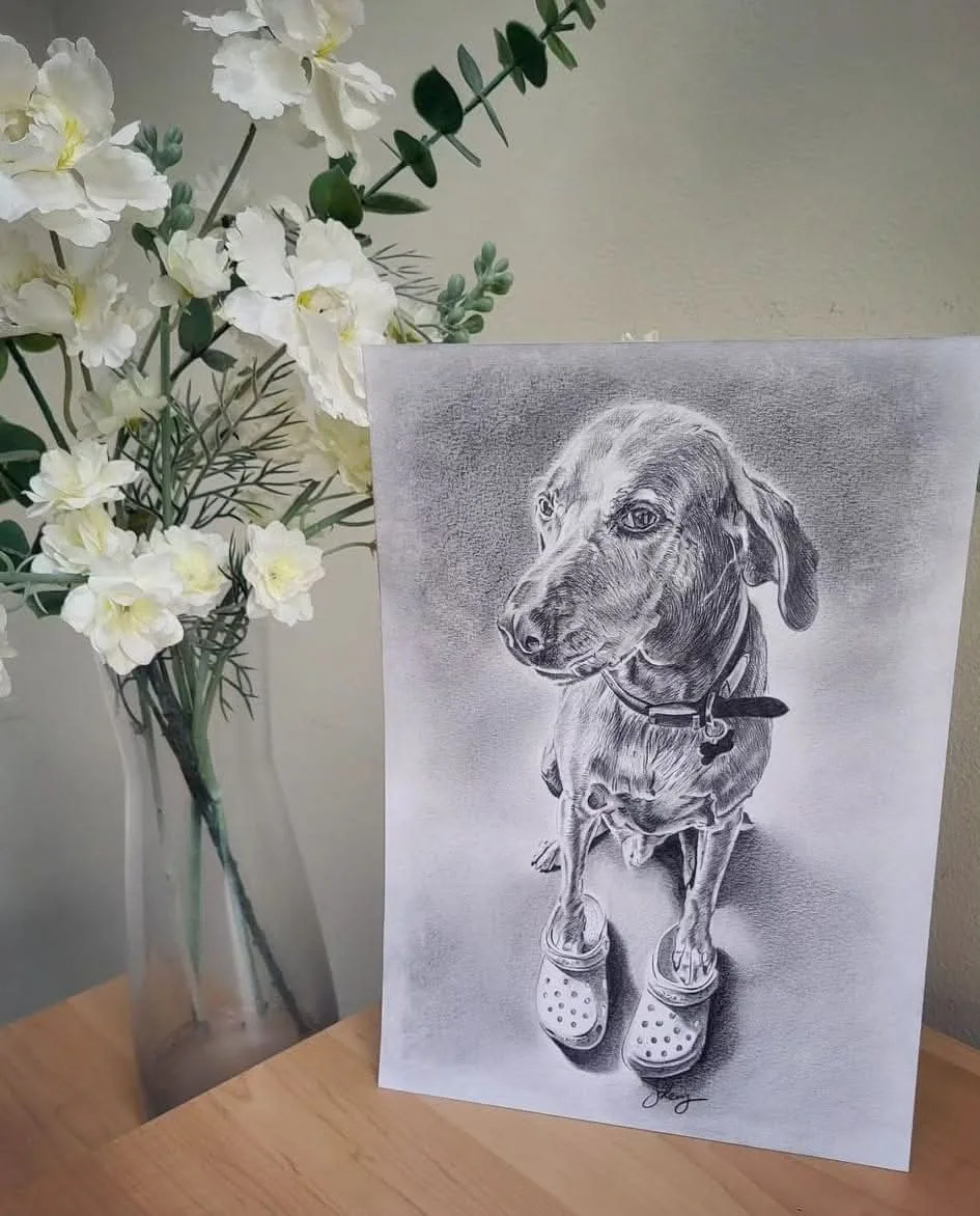 Pencil pet portrait commission, dog wearing shoes