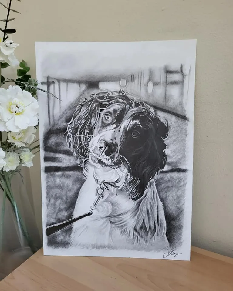 Pencil pet portrait commission of a dog