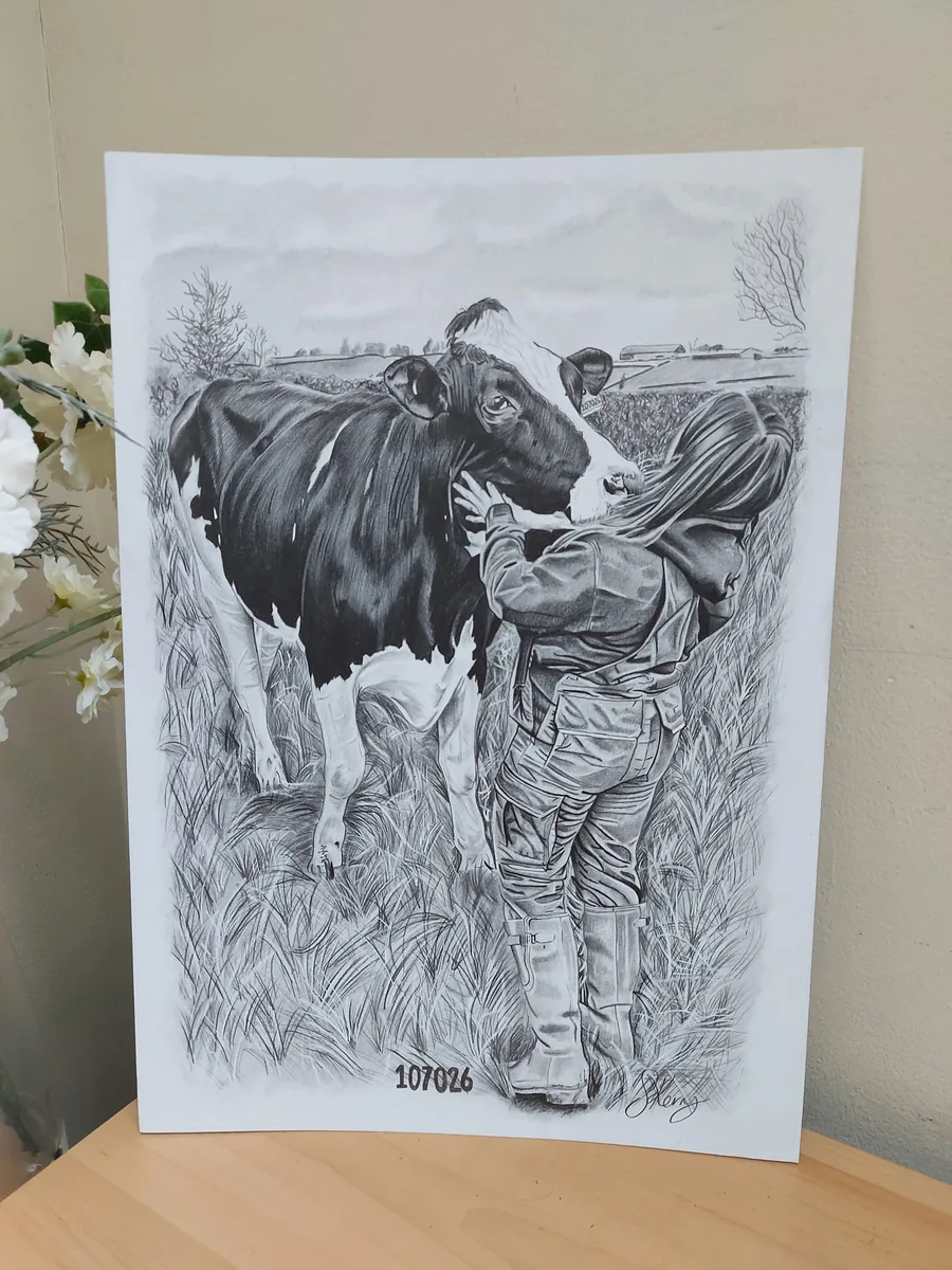 Pencil portrait commission of a cow