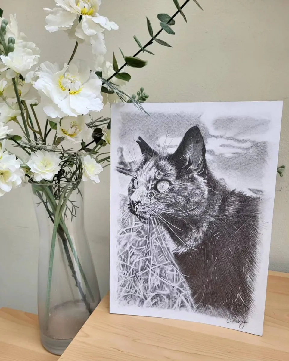 Pencil portrait commission of a pet cat