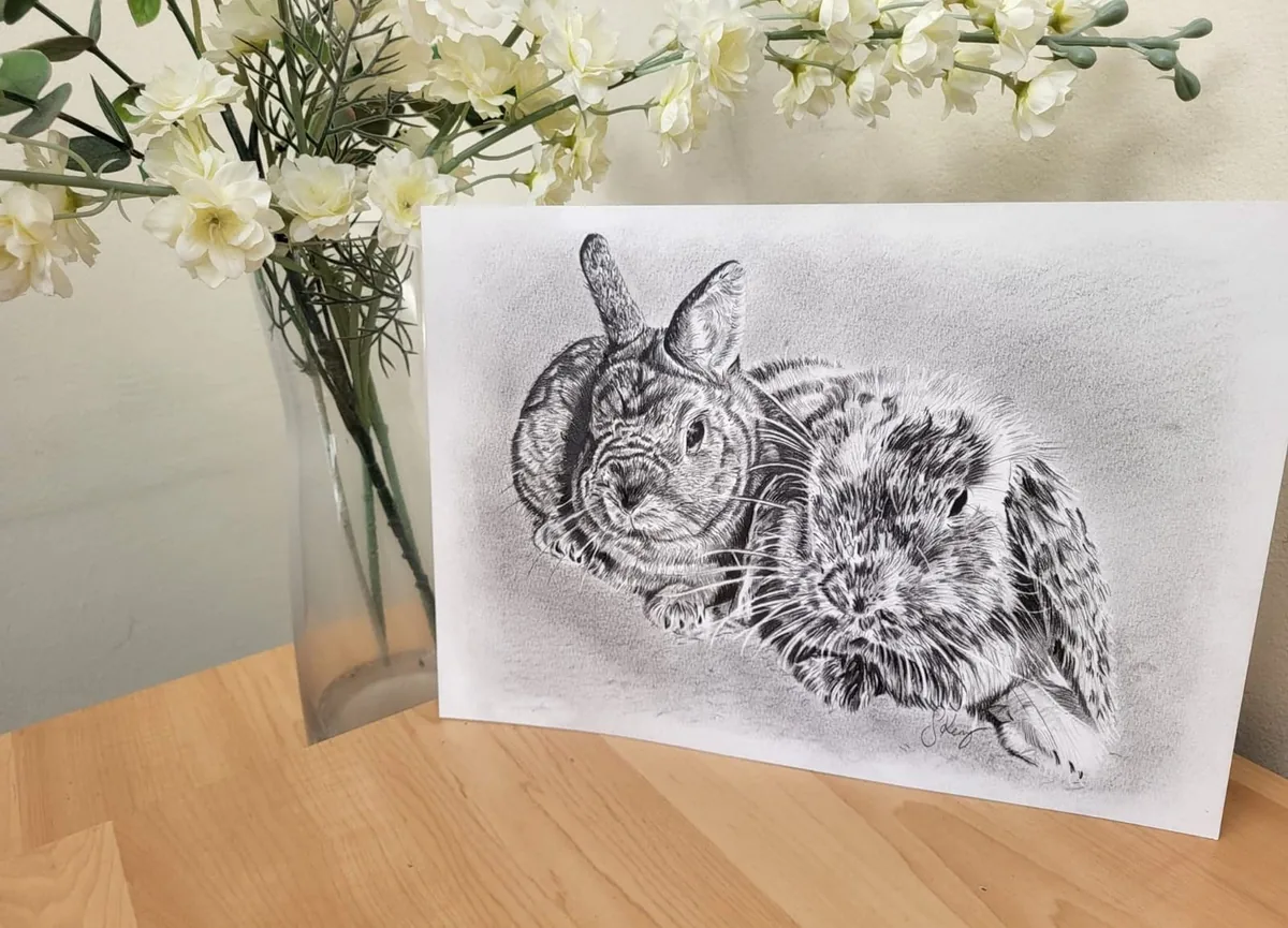 Pencil portrait commission of pet rabbits